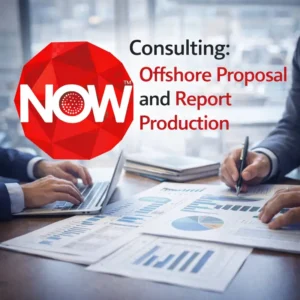 Consulting Offshore Proposal and Report Production