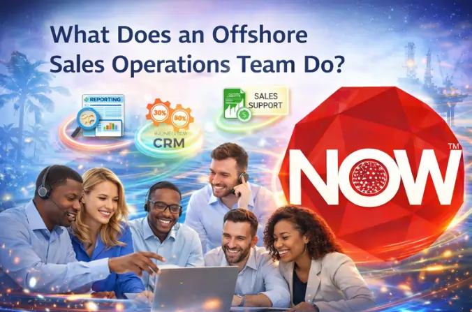 What Does an Offshore Sales Operations Team Do