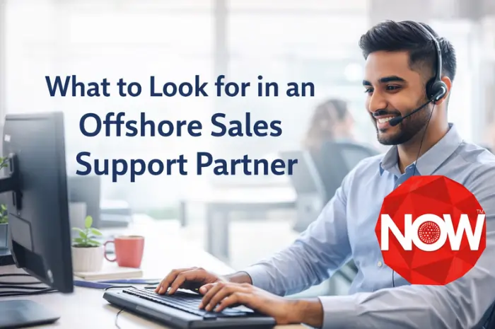 What to Look for in an Offshore Sales Support Partner